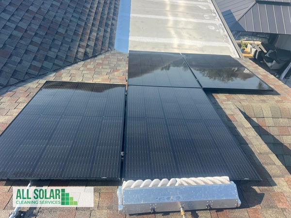 panel solar cleaning